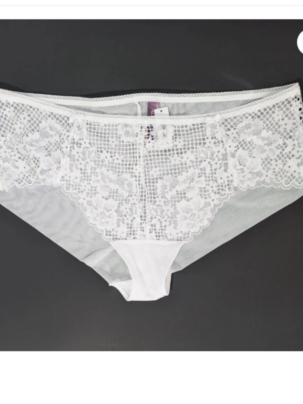Adore Me Lace Plus Size Panty 1X Women NEW Sheer Hipster Underwear